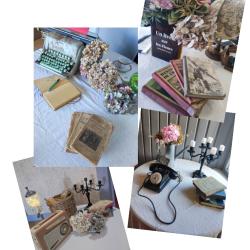 SALON DU LIVRE DE ROMAGNE 11-2025