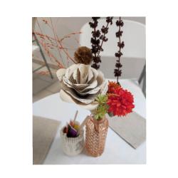 SALON DU LIVRE DE St ANTONE SUR L'ISLE 12-2025